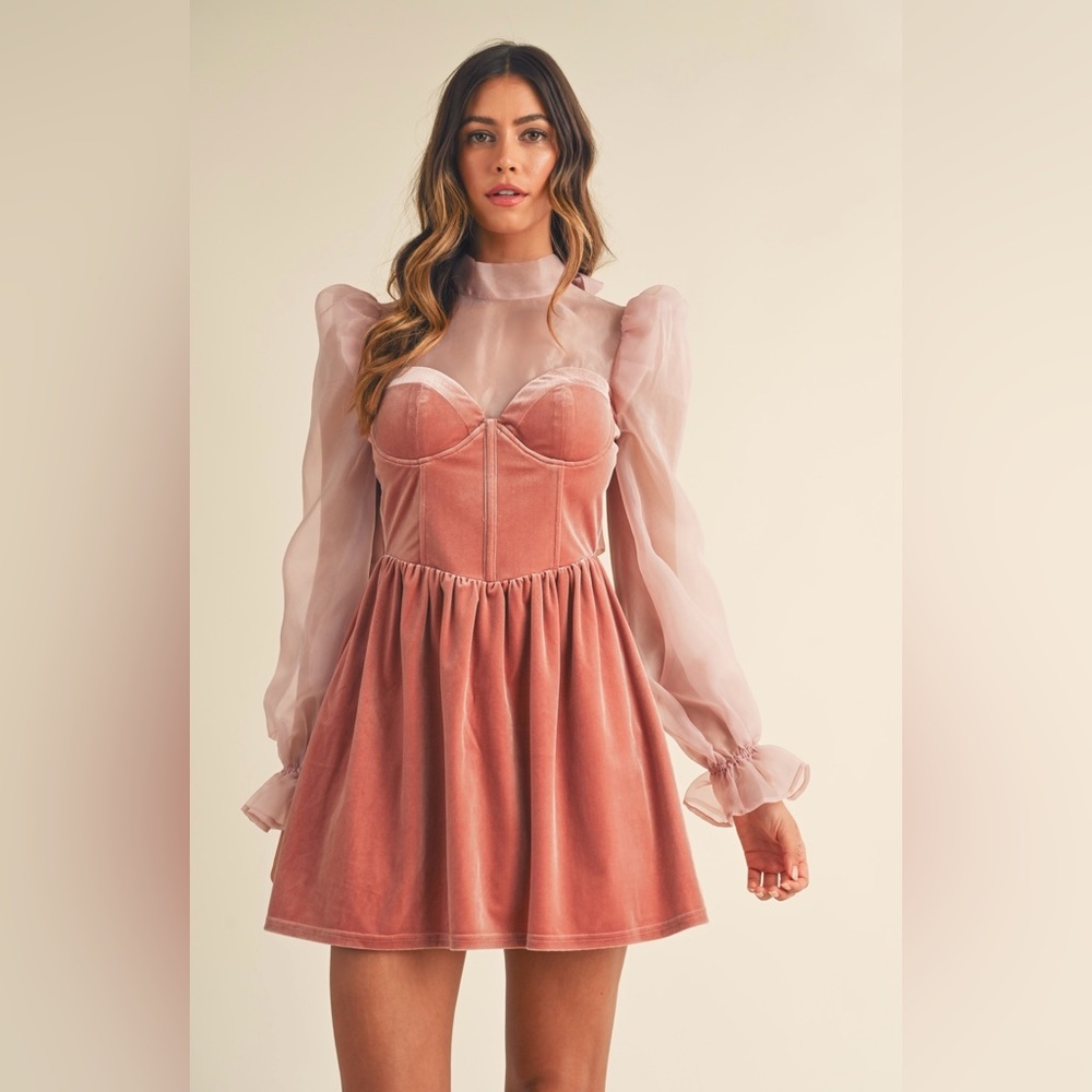 NWT Rose Organza Puff Sleeve Velvet Mini Dress With Open Back. Size small- large
